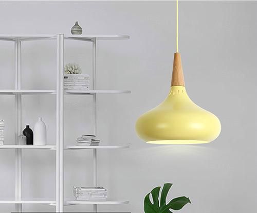 Indoor Lighting Hanging Pendant Lamp Restaurant Bedroom Sitting Room Decoration Light