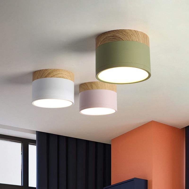 Mini Small Size Concise Style Ceiling Lamp Pendant Lamp Restaurant Lamp