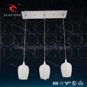 European Style Aluminum Bottle Shape Pendant Light with CE/RoHS (Mv20133-3)