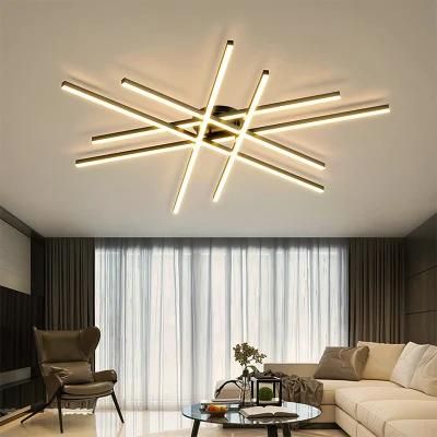 Modern Household Lamps Atmospheric LED Ceiling Lamp Minimalist Linear Chndelier (WH-MA-192)
