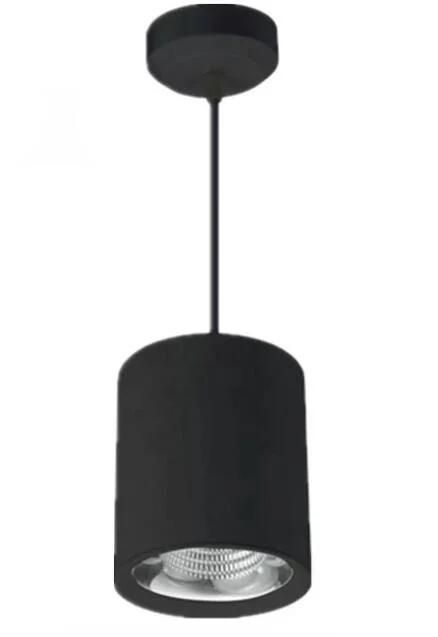 30W CREE COB LED Pendant Lamp Light (YC-TDCOB)