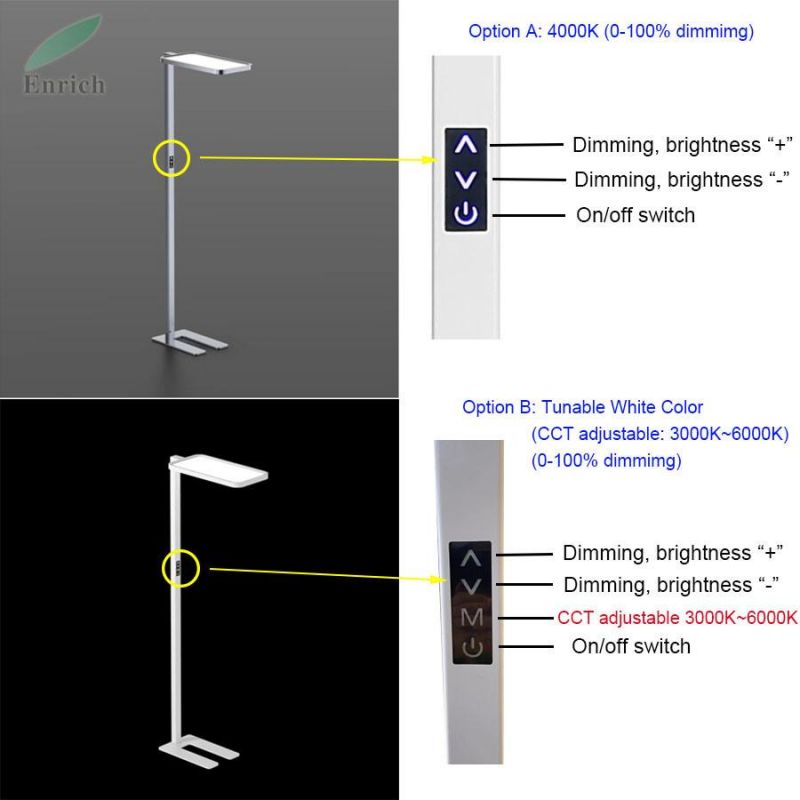 Color Temperature & Brightness Adjustable LED Floor Lamp for Office Lighting