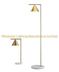 Modern Table Lamp and Floor Lamp (WH-664TF)