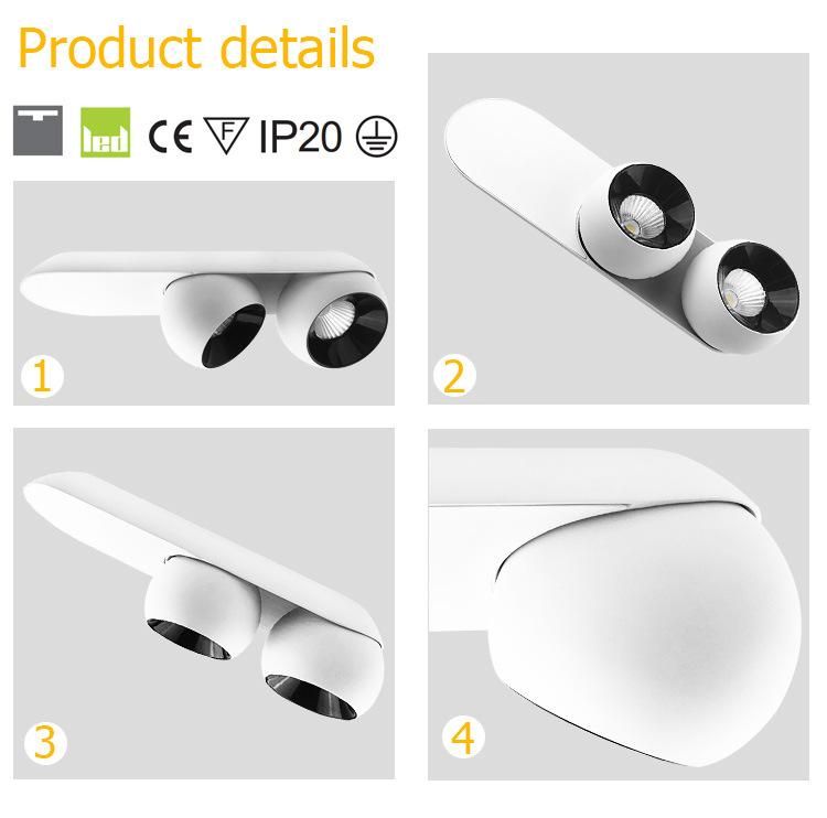 12W 20W Embedded Ceiling Light Double Head LED Downlight 2700K 3000K 4000K 6500K