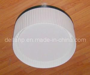 Modern European Style Ceiling Lamp for Home Hotel Decoration (C5006018)