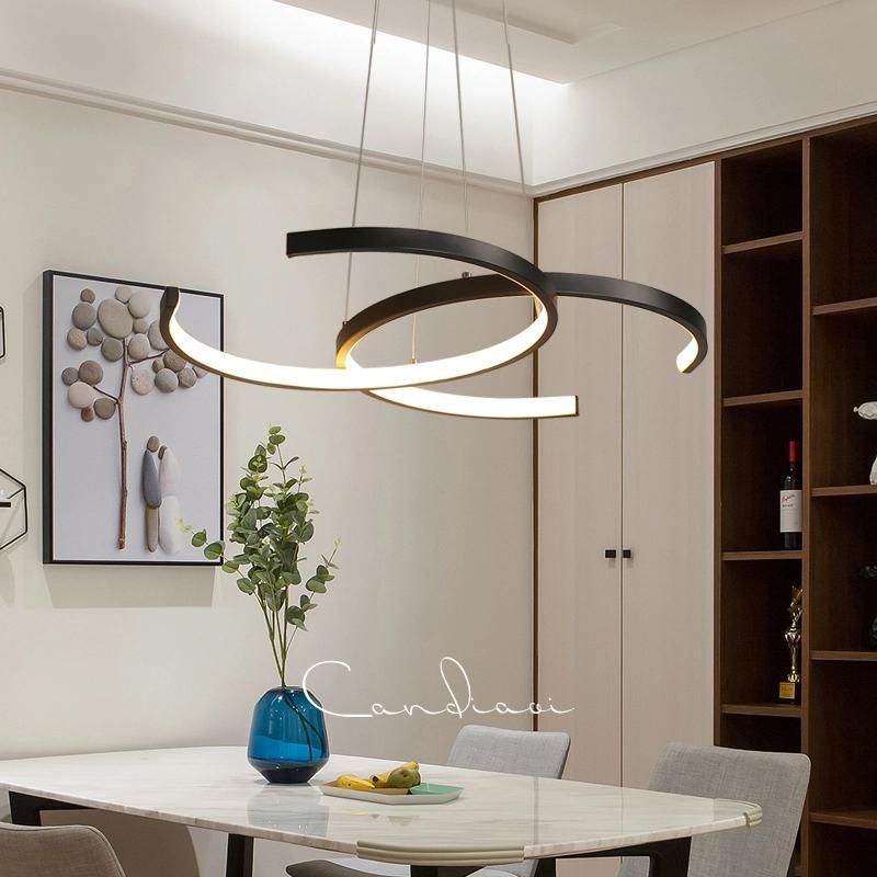 LED Decoration Project Home Deco Acrylic Dining Light Pendant Lighting Illumination for Living Room