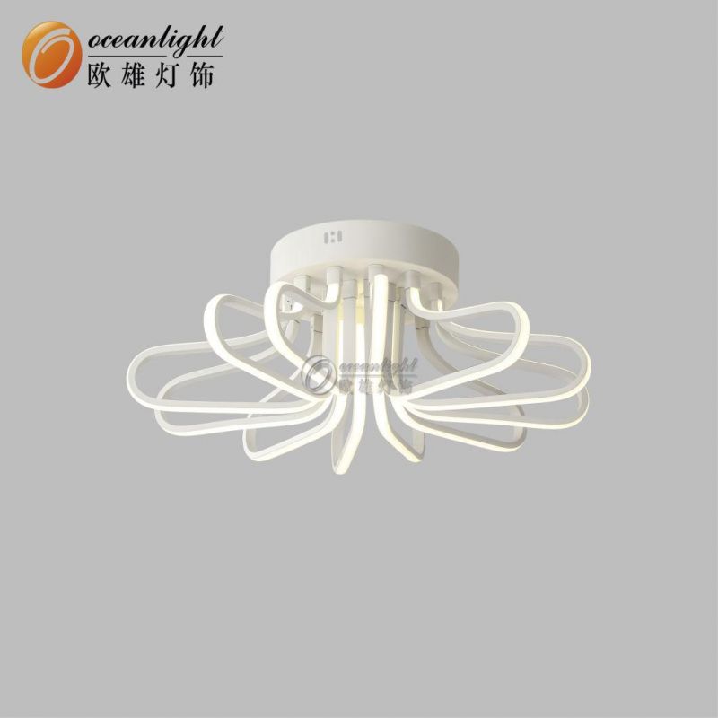 2019 Hot Sale Modern New Design LED Ceiling Lighting 60581c