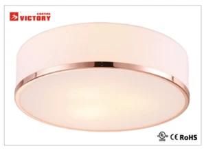 Fashion &amp; Popular Study Room Modern Decorative LED Ceiling Lamp
