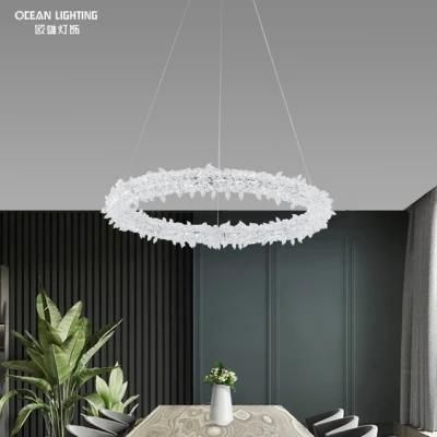 Pendant Lamp Chandelier Luxery Pendant Metal Lamp Omd8138/60 Dia60cm