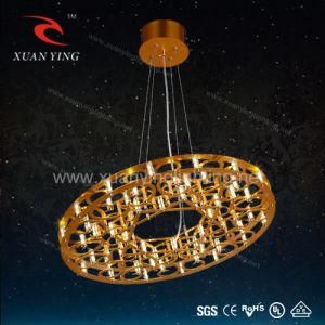 2014 Newest Designer LED Decorate Pendant Lighting (Mv20202)