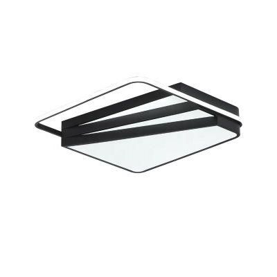 Dimmable Ceiling Light Modern Indoor Surface Mounted Ceiling Lamp