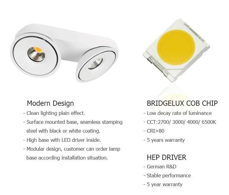 Adjustable 30W Surface Mounted Ceiling Light Ceiling Downlight COB LED Spotlight