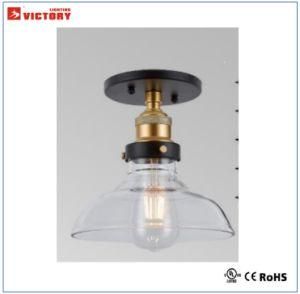 Simple Decorative Metal Glass Ceiling Light with Ce Approval
