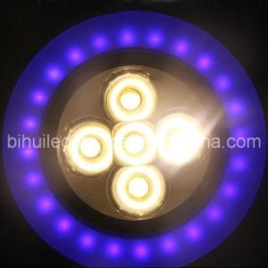 LED Ceiling Light Two Colors High Power +SMD3528 7W