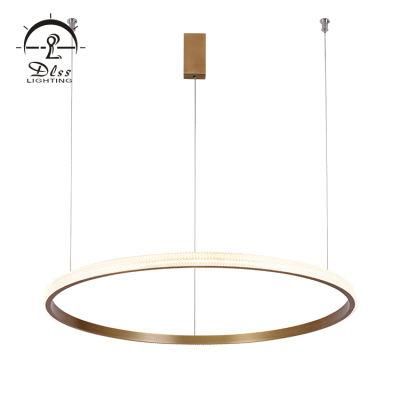 Vintage Luxury Ceiling Aluminum Acrylic Brass LED Pendant Light