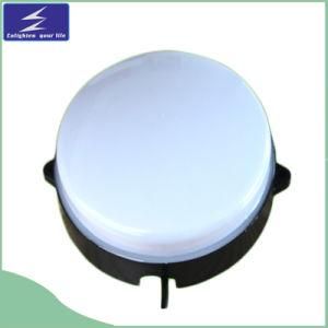 Straw Hat Lamp Bead LED Pixel Point Source Light (DC24V/AC220V)