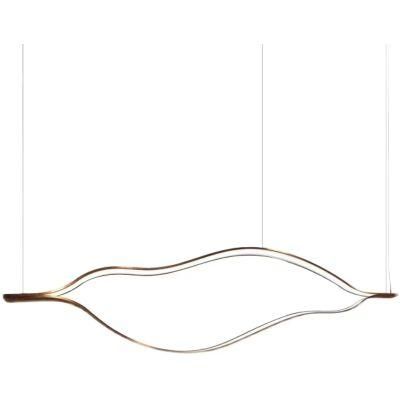 Modern Design Creative Lines Metal LED Ceiling Mouted Home Ceiling Light Lamps Lighting