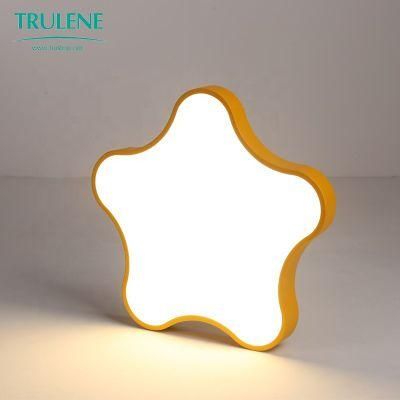 LED Dimmable Ceiling Light Star Type Decorative Ceiling LED Lights