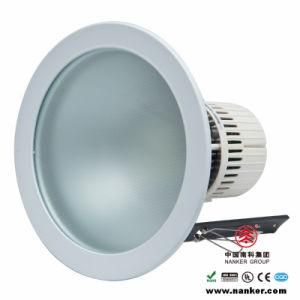 LED Downlight (NKX-24/4-24/1-CC)