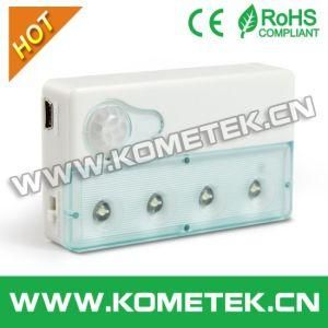 Motion Sensor LED Wall Lamp (L0406)