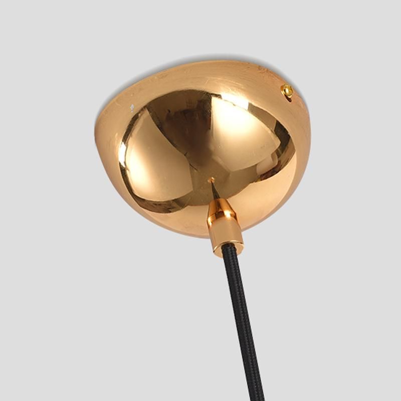 Modern Pendant Lamp for Home Decoration Light