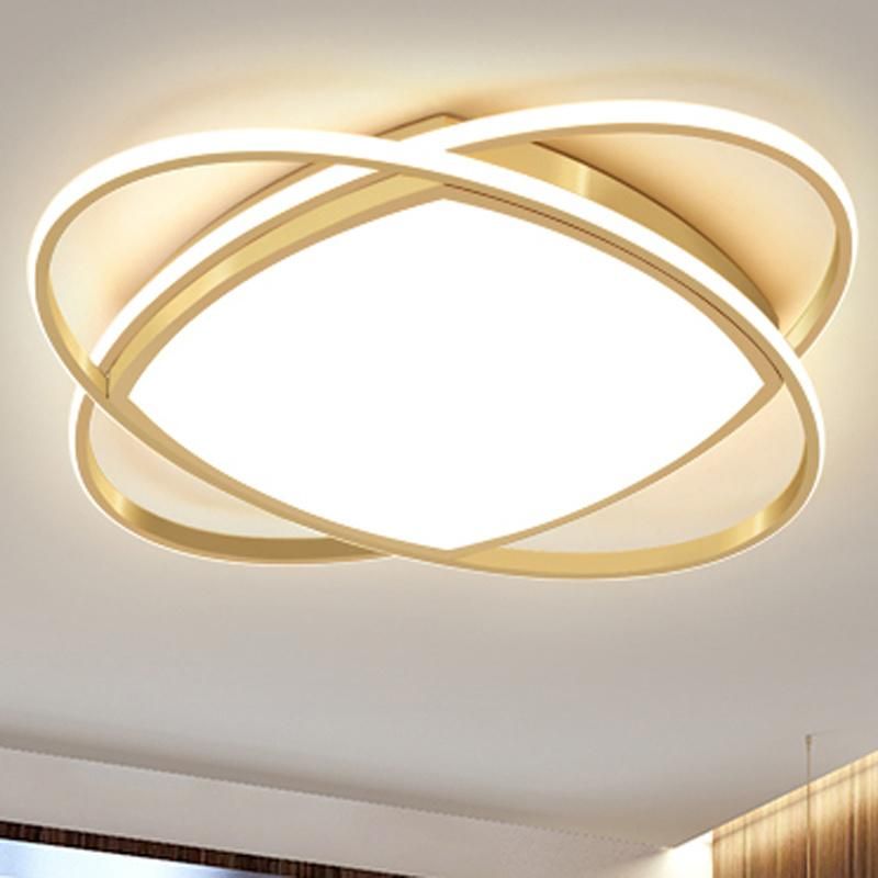 Simple and Modern LED Ceiling Light Household Study Light Living Room Lamp
