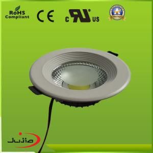 Round 30W Down Light Manufacturer in Zhongshan, China