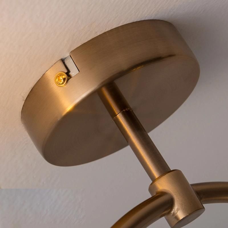 Two Lights Ceiling Lamp Pendant Lamp Chandelier Living Room Lamp Resaturant Lamp