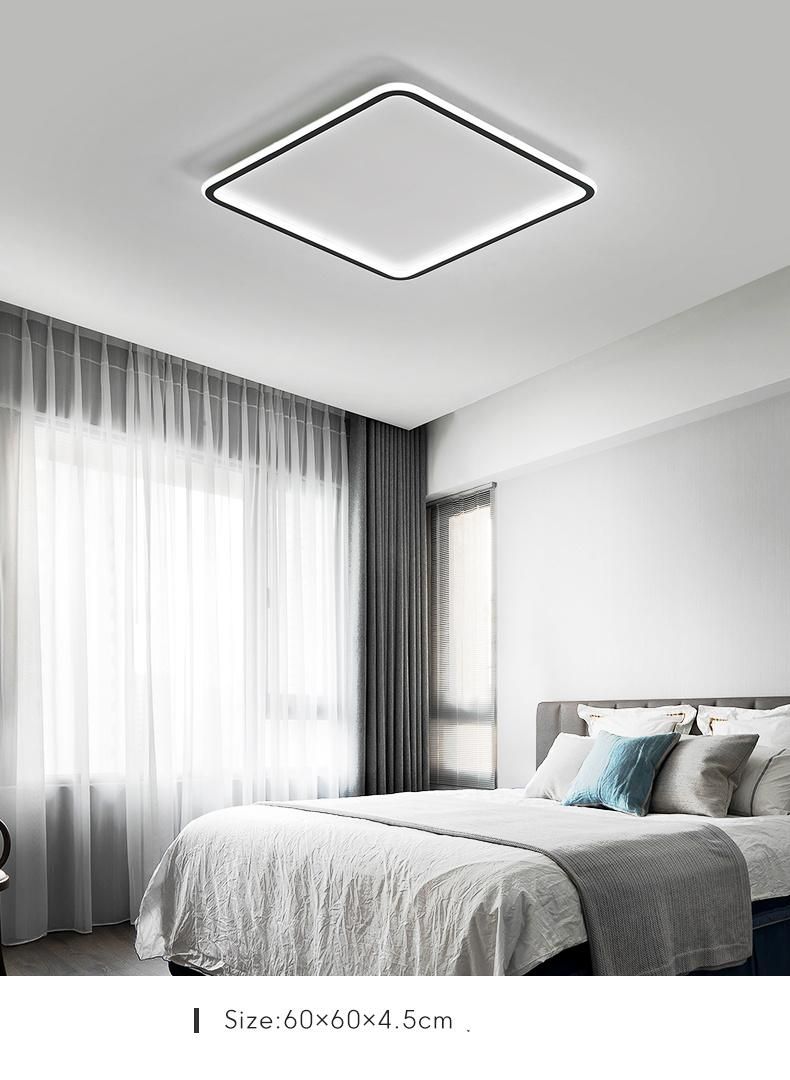 Pendant Lamp Indoor Light Acrylic Light Luxury Modern Lamp for Room