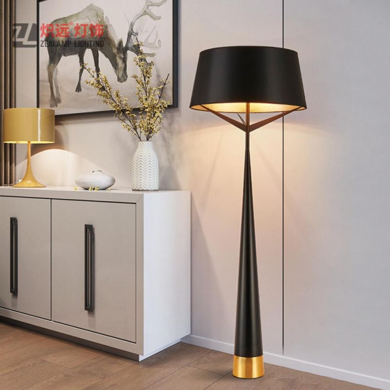 Indoor Lighting Iron Decoration Lamp for Living Room (ZLF023)