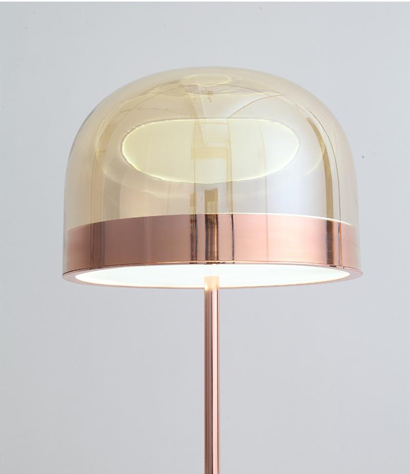 Modern Lighting LED Floor Lamp Smoke or Copper Glass Standing Lamp LED Floor Lamp (WH-MFL-159)