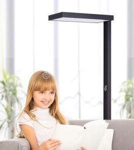60W One LED Panel Floor Lamp