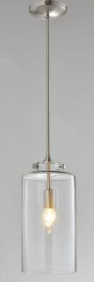 Simple Clear Glass Pendant Lamp in Chrome (17003-P)