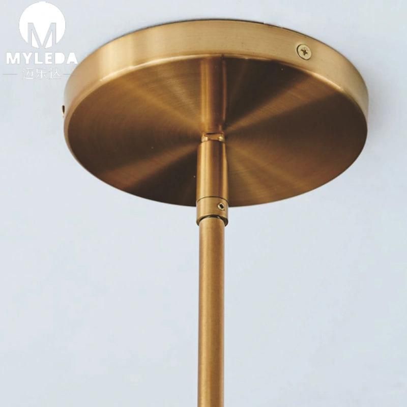 Modern Metal Pendant Lamp Glass LED Hotel Lamp