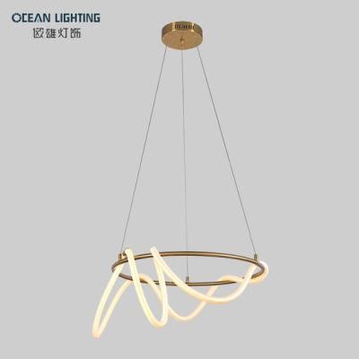 Pendant Hanging Lights Luxury Pendant Light LED Pendant Lamp Modern Om82095 Dia60*H30cm