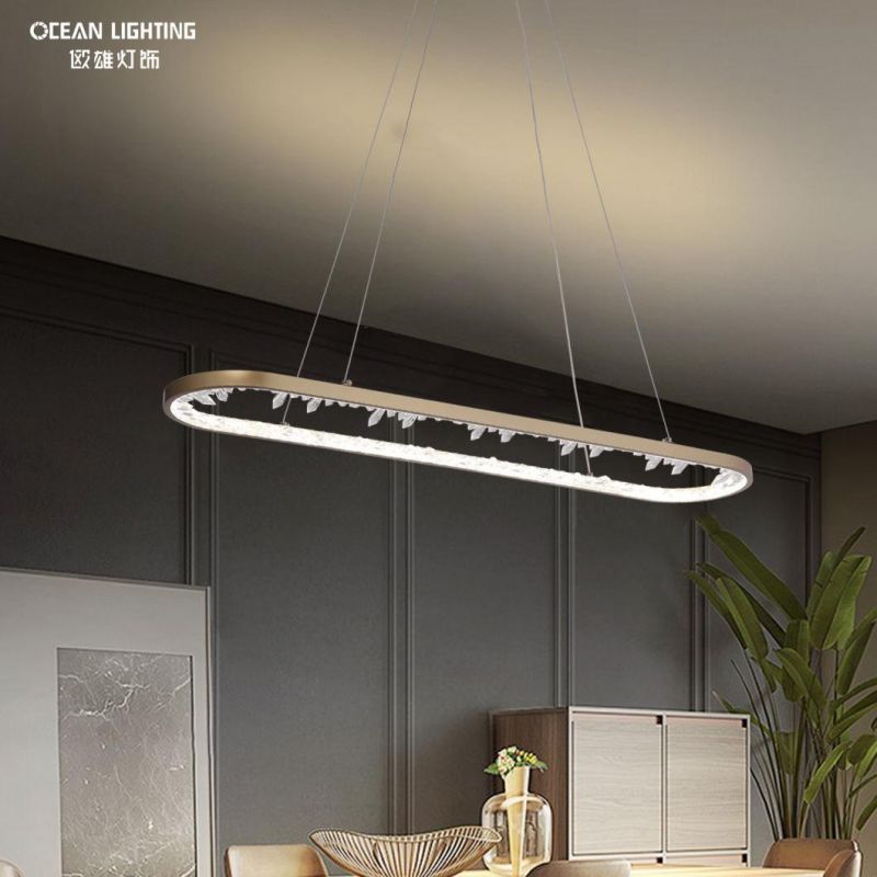 Modern Indoor Gold Painted Pendant Lamp for Home Hotel Restaurant Villa