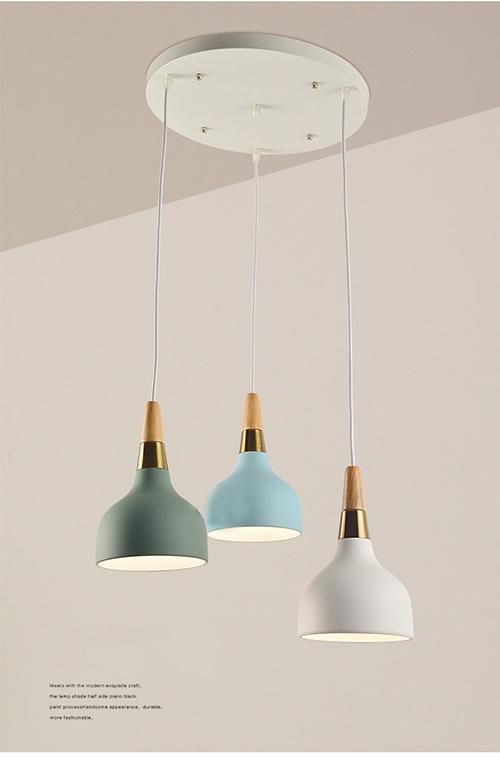 Modern Chandelier Pendant Lamp Pendant Ceiling Light Hanging Light for Bedroom