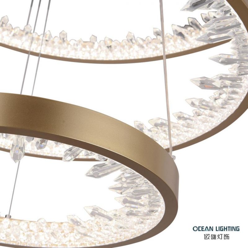Modern Indoor Decorative Pendant Lighting Aluminum Iron Acrylic Pendant Lamp for Home Hotel