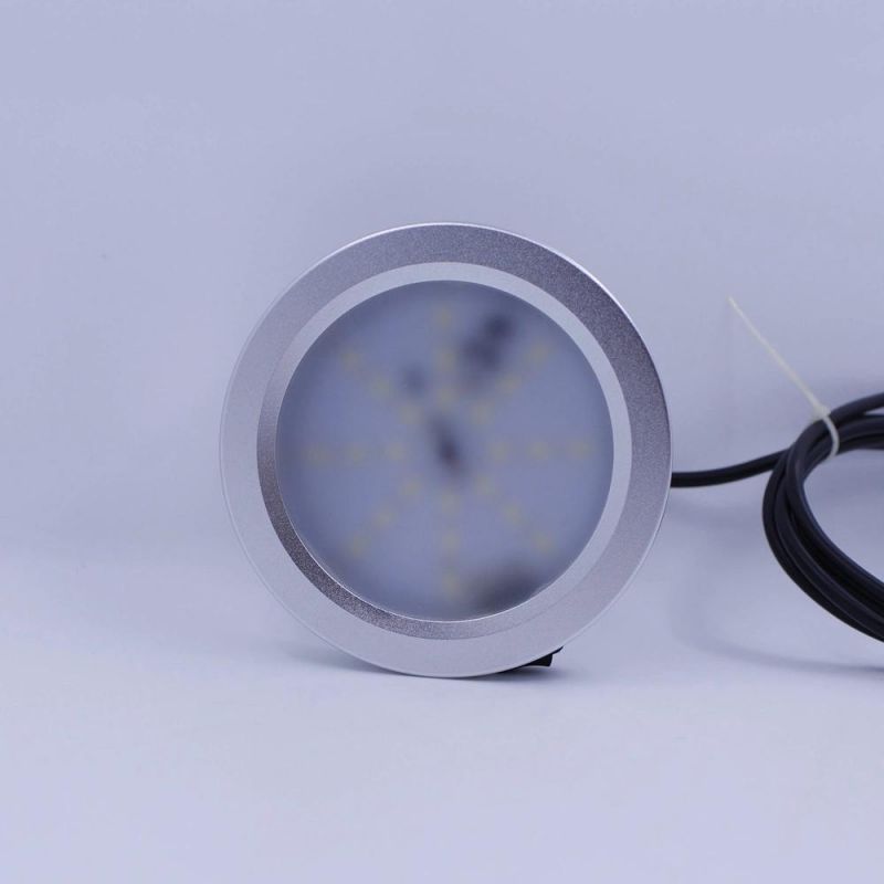 12 Volt LED Marine Interior Light White Blue LED Ceiling Light