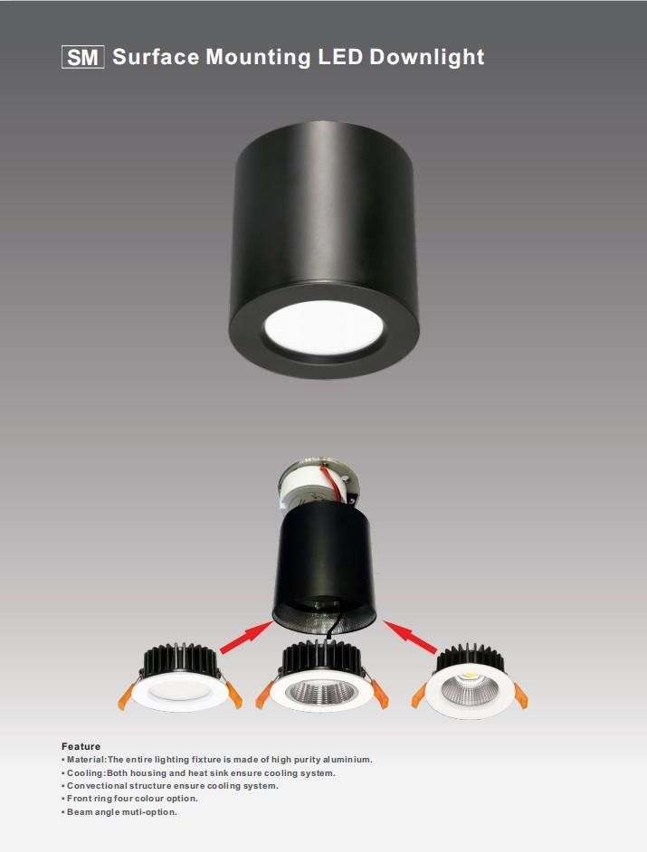 Hot Sale Modern Recessed Fixtures Surface Mounted Down Light Ceiling 15W LED Downlight Smx4a