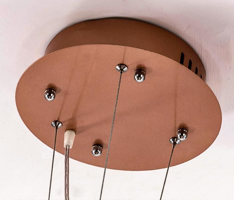 Creative Restaurant Chandelier Stainless Steel LED Chandelier Pendant Lamp