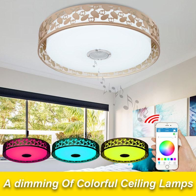 Fancy Kitchen Bluetooth Music Ceiling Lights with APP Remote Controller (WH-MA-38)