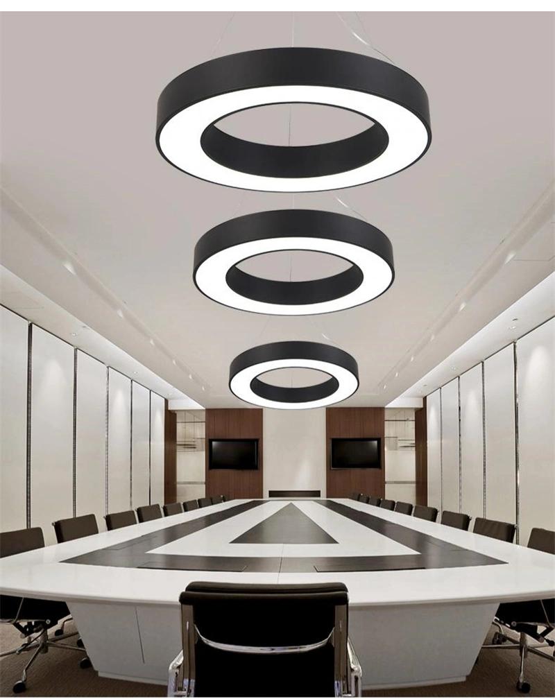 Custom Made Diameter Size Round Ring Shape LED Linear Pendant Light