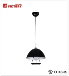 Modern Style Pendant Decorative LED Hanging Lighting