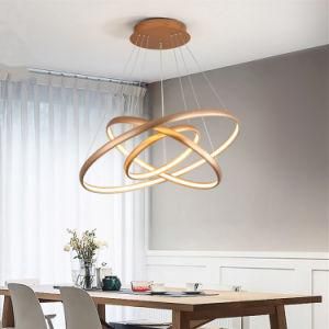 Modern Light Luxury Light Elegant Nordic Chandelier Dining Table Kitchen Island pendant Long Linear LED Pendant Lamp