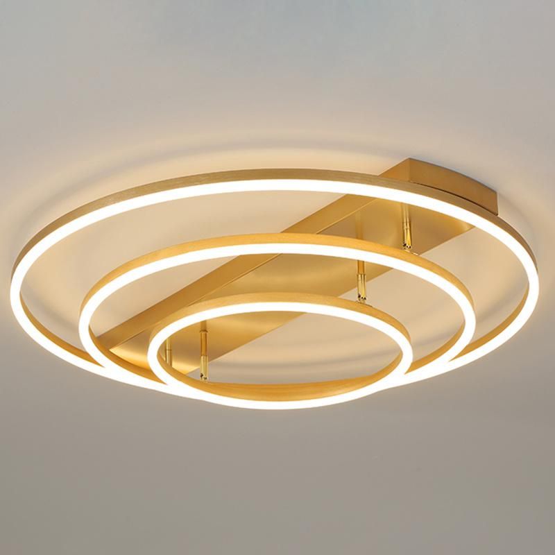 LED Ceiling Lamp Living Room Lamp Golden Nordic Lamp Ins Ring Lamp