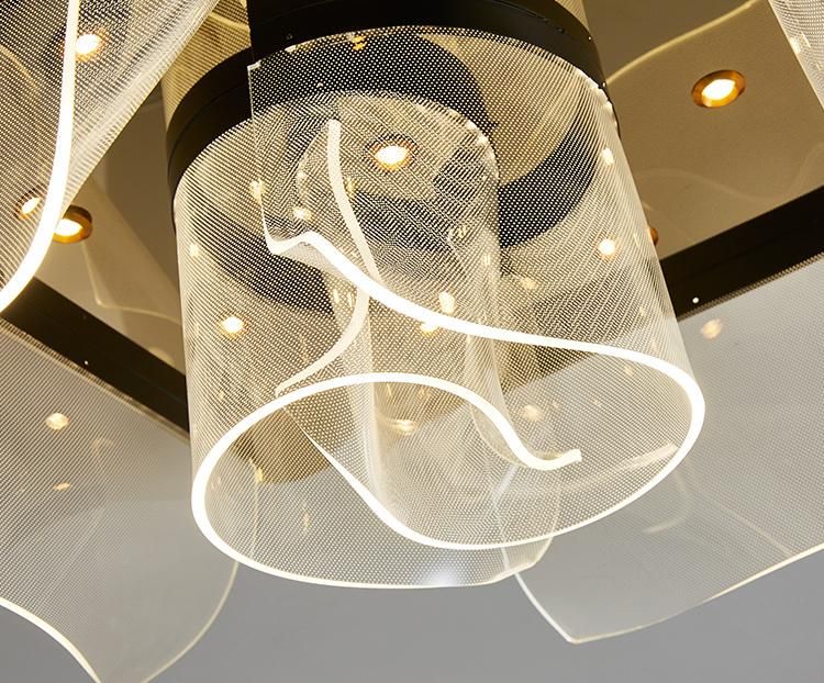 Modern LED Lights, Acrylic Ceiling Lights for Living Room Decoration