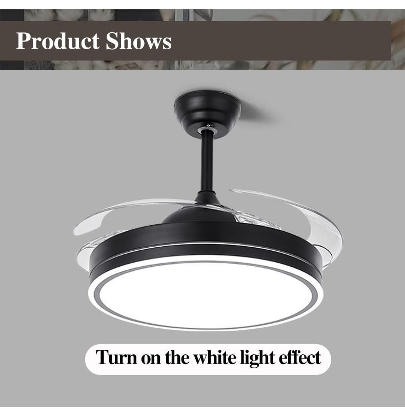 Modern Simple Natural Time Setting RF Remote Control Ceiling Fan with Light Fan Lamp