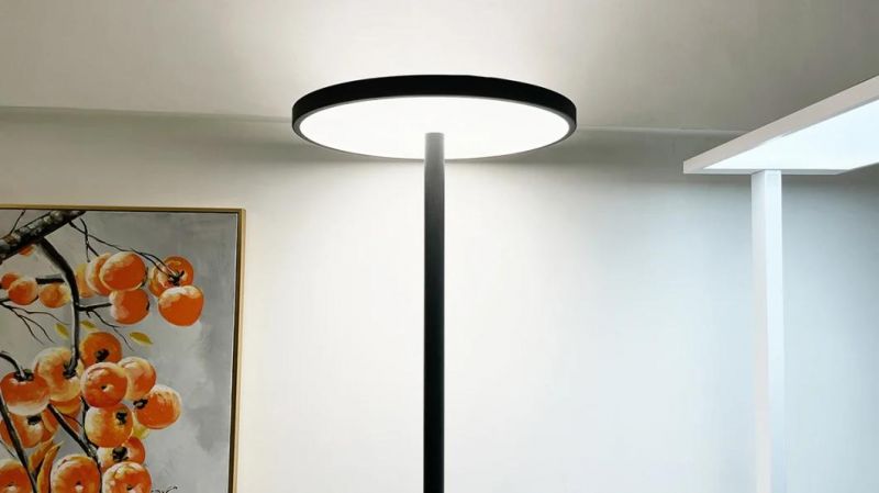 Cmn Round Head Heavy Duty LED Floor Standing Lamp Floor Light