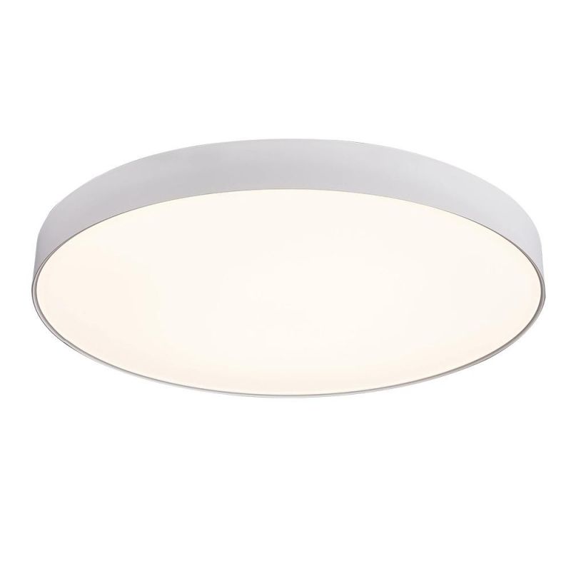 Nordic Smart Indoor LED Lighting Decorative Ceiling Light